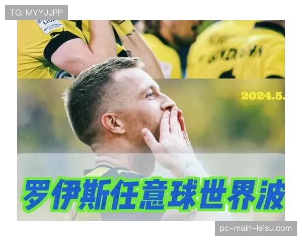 特写：老将罗伊斯在威斯特法伦的最后一季